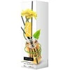 Oro gaiviklis-kvapnios lazdelės Zen Elix 50ml Geltona