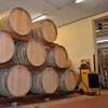 Sausintuvas Buitinis drėgmės surinkėjas Master DH 62; 890 W