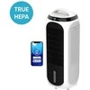 Ventiliatorius Clean Air Vėsintuvas CA-106 Smart HEPA (4in1)