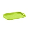 Padėklas plastikinis 46x33x3 cm žalios spalvos Domotti 229020