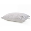 Pillow COMCO ALOE VERA, quilted, 70 x 70 cm, imp. 100% PES, lining 100% PES, 750 g
