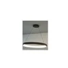 Pakabinamas šviestuvas Pakabinamas LED šviestuvas TRIO CARDONA, 29 W, 3300lm, 2300/3000/4000K, DIM, 45x150cm