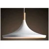 Bona Electrica Pakabinamas šviestuvas Indoor-105 light