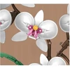 Pan i Pani Gadżet STATYBINIAI BLOKAI ORCHIDĖJA ORCHIDĖJA BALTA GĖLĖ DOVANŲ surinkimui