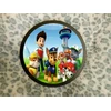 Panelinis sieninis šviestuvas PAW PATROL, apvalus