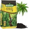 Paparčių dirvožemis BIOVITA 5L