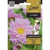 Paprastųjų kosmėjų sėklos DOUBLE DUTCH ROSE, 0,3 g