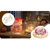 Para Toys VIENRAGIS NAKTINĖ LAMP KŪRYBINIS RINKINYS MUZIKA LED RGB UNICORN DOVANA
