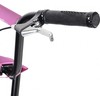 Kick Scooter inSPORTline Milester