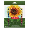 Pastelai - Derwent - 98216 - 24 vnt. rinkinys - Apskaičiuotos spalvos - Švelnūs ir maišomi