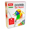 Pentel Pasteliniai Kreideliai Tekstilei - Sukurkite Unikalius Dizainus