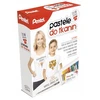 Pentel Pasteliniai Kreideliai Tekstilei - Sukurkite Unikalius Dizainus