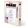 Tombow Pentel rinkinys kaligrafijai ir letteringui su 4 teptukiniais rašikliais