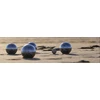 Petanque Petankės rinkinys Jeu De Boules