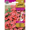 Petunijų- surfinijų sėklos VELVET H SALMON SHADES, 7 vnt