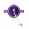 Piciuś Sippy buteliukas vaikams su pasvertu šiaudeliu 240 ml 6m+ PLUM