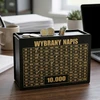 PIGGY BANK DARBO TIKSLAS 10 000 JUODOS DOVANOS PERSONALIZAVIMO TAUPYMAS