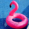 Pink PRIPUČIAMAS FLAMINGO PLAUKIMO VANDENS ŽIEDAS 90 CM Rožinis XXL
