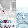 PIPETĖ 100 Vnt. 3ml PLASTIKINIS VIENkartinis LABORATORIJOS SOFT FLEXIBLE