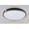 Lubinis šviestuvas Plafoninis LED šviestuvas BALTIK GAISMA,96W,3000-6500K,7488lm,balt/auks,dim,ø50cm,su pultu