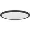 Lubinis šviestuvas Plafoninis LED šviestuvas EGLO ROVITO-R IP44 18W 2700-6500K 2300lm juodas Ø39cm su pultu