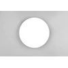Lubinis šviestuvas SpectorLight Plafoninis LED šviestuvas SPECTOR LIGHT, IP44, 19 W, 4000 K, 1950 lm, Ø33 x h6 cm