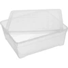 Plastikinė daiktadėžė su dangčiu ROTHO LONA, skaidri, 57.1 x 39.2 x 16.6 cm, 29 l