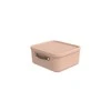 Dėžė su dangčiu ir rankenomis Maloja Rotho 39.5x38X35.5/20L Meadow Rose