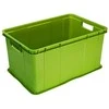 Plastikinė dėžė Agilo 55L/31x59x39cm skirtingų spalvų