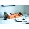 Plastikinė dėžė Seoul M Plast Team 5x7.8x23.8cm rausva
