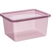 Plastikinė dėžė su dangčiu Basic Box Plast Team 20L bordo