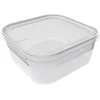 Plastikinė dėžutė maistui užšaldyti Plast Team 1.8l/19x19x8cm Helsinki