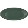 Plastikinė lėkštė Caruba Rotho 26cm Moss Žalias