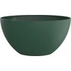 Plastikinis dubuo Caruba Rotho 3L/23cm Moss Žalias