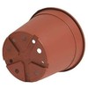 Nicoli 1,3l vazonas CONTAINER IME 14cm rudas