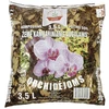 Prosperplast Dekoratyvinis gėlių vazonas Coubi Orchid L36cm W15cm H13.2cm plastikinis