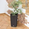 Dekoratyvinis gėlių vazonas Mate Ø20cm H18cm plastikinis/š.pilkas