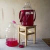 Plastikinis vyno indas su diržais Demijohn Browin 25L