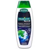 Plaukų šampūnas Palmolive Antiforfora 350ml