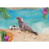 71288 PLAYMOBIL® Wiltopia, Jūrų liūtas