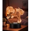 Plexido 3D LED arklio nakties lempa Arklio dovanų graviruotas vardas
