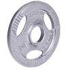 Plieninis svoris grifui 30mm inSPORTline Hamerton 1.25kg