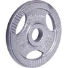 Plieninis svoris grifui 30mm inSPORTline Hamerton 5kg