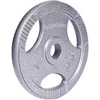 Plieninis svoris grifui 30mm inSPORTline Hamerton 10kg