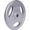 Plieninis svoris grifui 30mm inSPORTline Hamerton 25kg