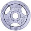 Plieninis svoris grifui 30mm inSPORTline Hamerton 5kg