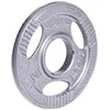 Plieninis svoris olimpiniam grifui 50mm inSPORTline Hamerton 1,25kg