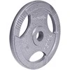 Plieninis svoris olimpiniam grifui 50mm inSPORTline Hamerton 15kg