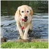TRIXIE Aqua Toy Mot®-Fun, plūduriuojantis, natūrali guma, 9 cm-22 cm
