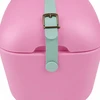 Polarbox 20L Pop Edition kelioninis aušintuvas - Bubblegum